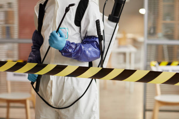 Professional Hoarding Cleanup technician working in Pike, NH